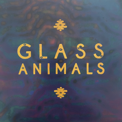 Glass Animals : Glass animals
